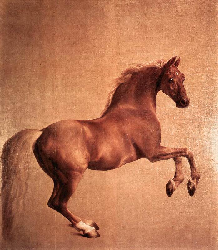 STUBBS, George Whistlejacket r china oil painting image